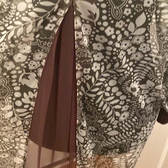 Tango Mango Sheer Blouse - Picture 6 of 6